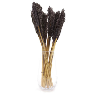 Black Cantal Grass