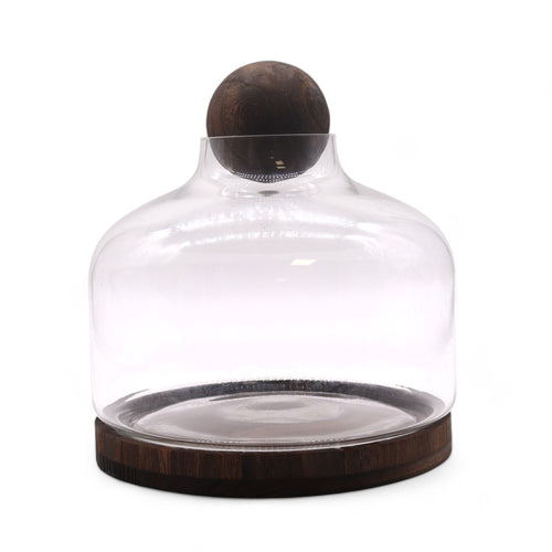 Extra Large Ball Top Terarium on Dark Tung Wood