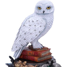 Load image into Gallery viewer, Harry Potter Hedwig Owl Figurine