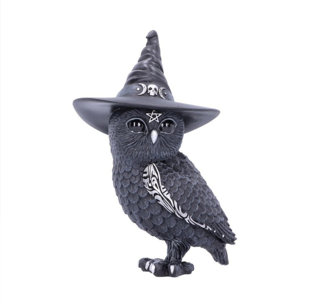 Owlocen The Witch Owl