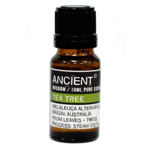 Tea Tree Essential Oil - Melluna_UK